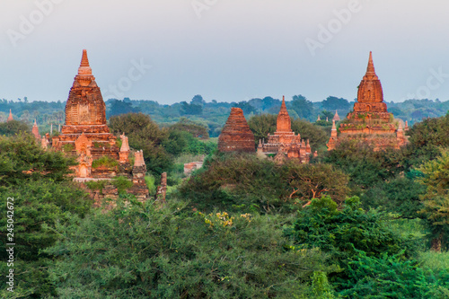 Skyline of Bagan temples  Myanmar