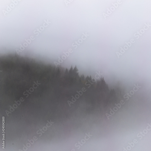 fog in the forest © Jacob