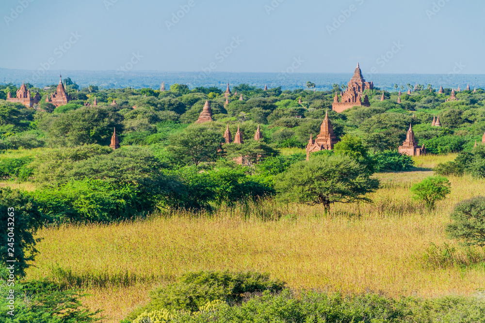 Skyline of temples in Bagan, Myanmar