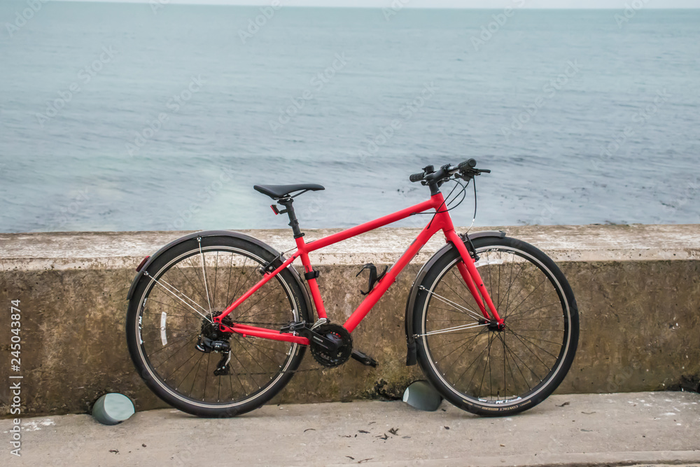 Bike leaning on a wall by the ocean