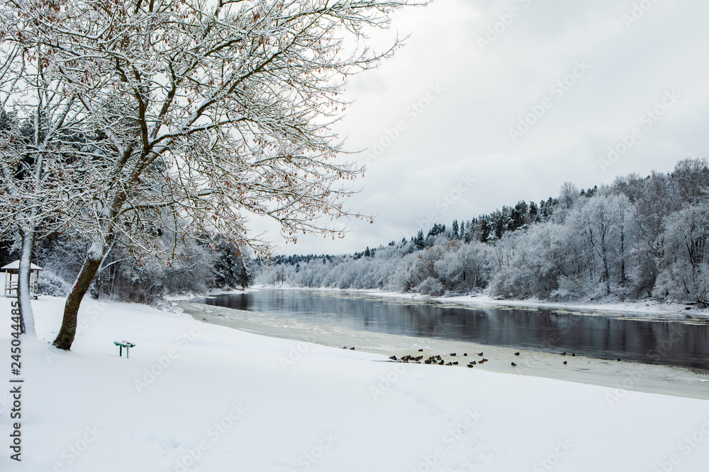 Fototapeta premium Neris river in winter