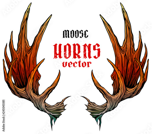 Cartoon colorful detailed big moose horns or antlers. Hunting trophy. Isolated on white background. Vector icon.