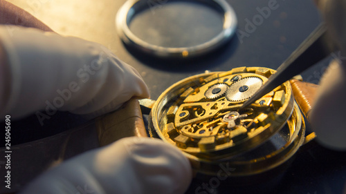 Mechanical watch repair, dismanted watch, close up