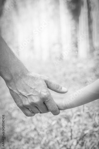 beautiful hands of a child and a parent in a park in nature