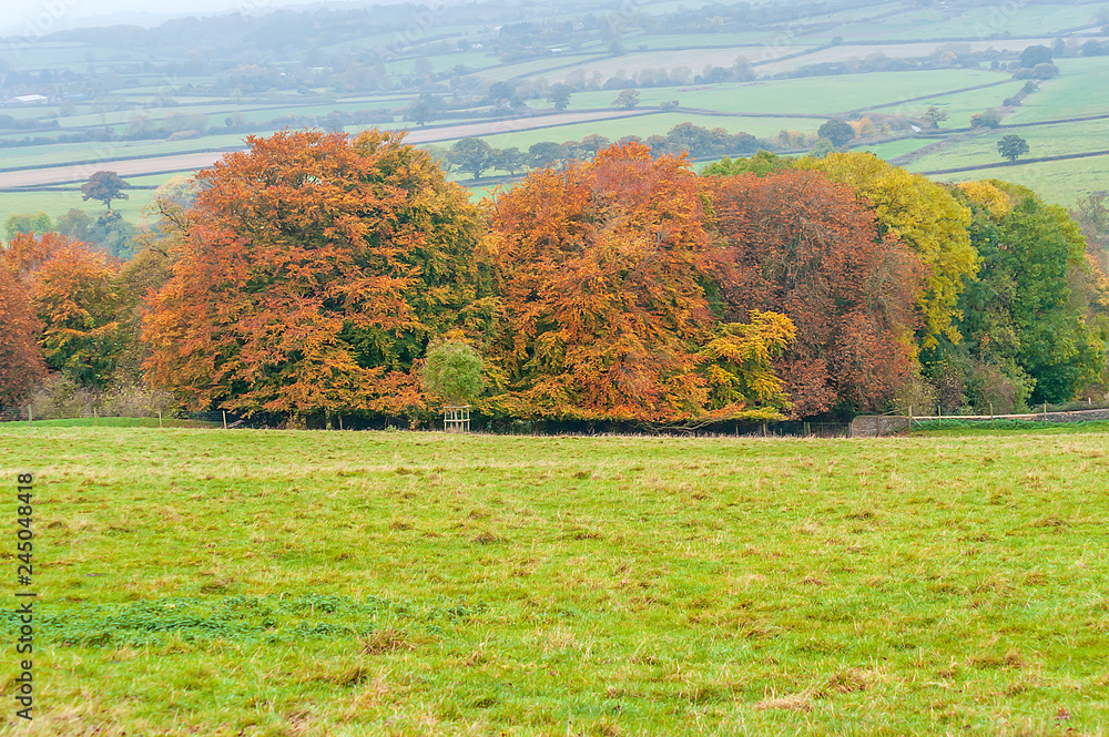 Autumnal rural landscape - a natural scenery