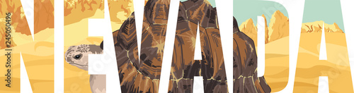 vector Desert Tortoise