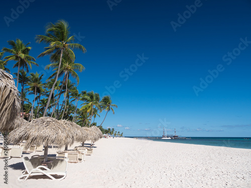Coconut palm trees, thatched sun umbrellas and plastic sunbeds on tropical beach