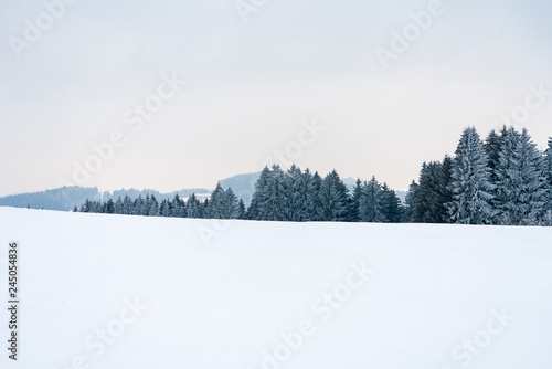 Winterlandschaft mit Bäumen, Wäldern und Sträucher
