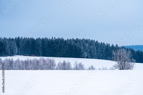 Winterlandschaft mit Bäumen, Wäldern und Sträucher © lexpixelart