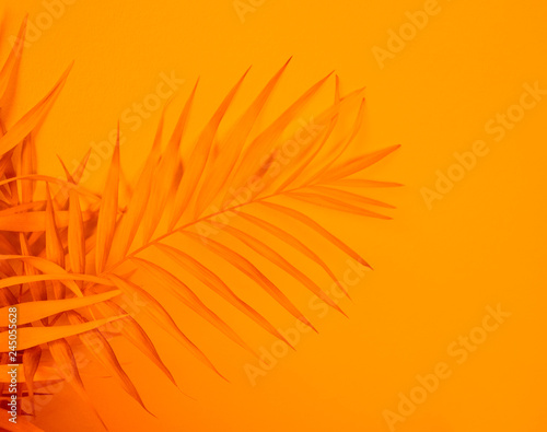 Palm home flower of yellow color. Orange background