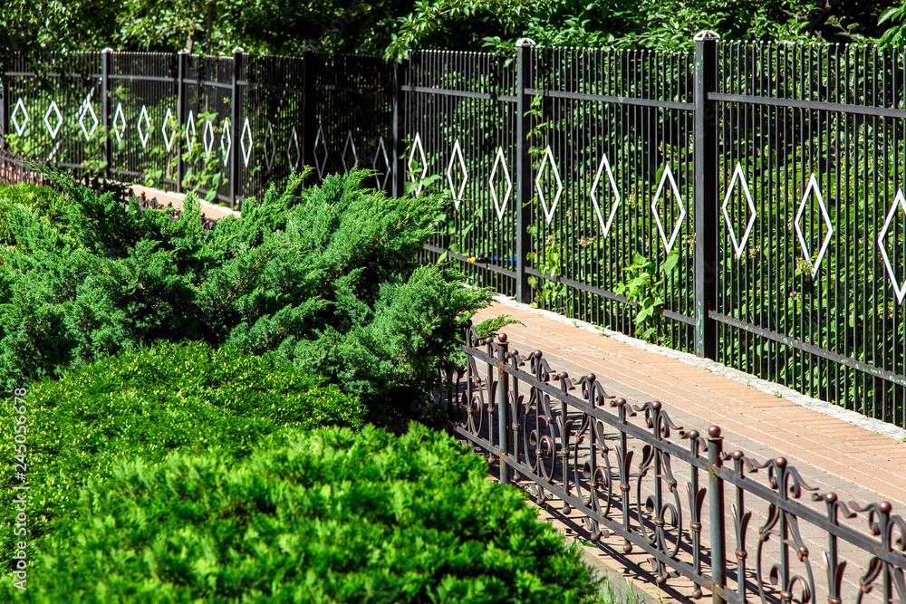 walking path fenced with an iron fence with greenery on a sunny day in the garden. walking path fenced with an iron fence with greenery on a sunny day in the garden.