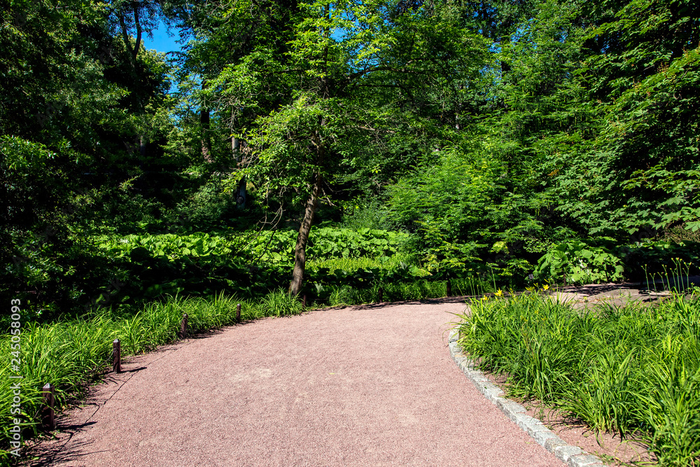 gravel path with a stone border and flower beds with leafy plants in a park with tall trees on a sunny summer day.