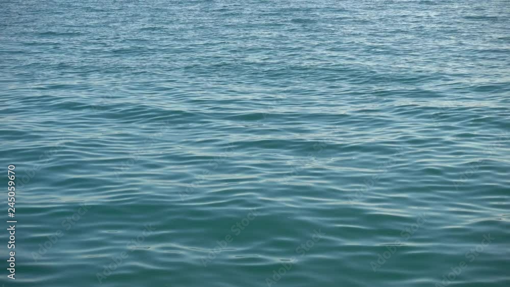 Blue Ocean Water Wide Angle Shot With Seagull Blue Ocean Water Wide Angle Shot With Seagull