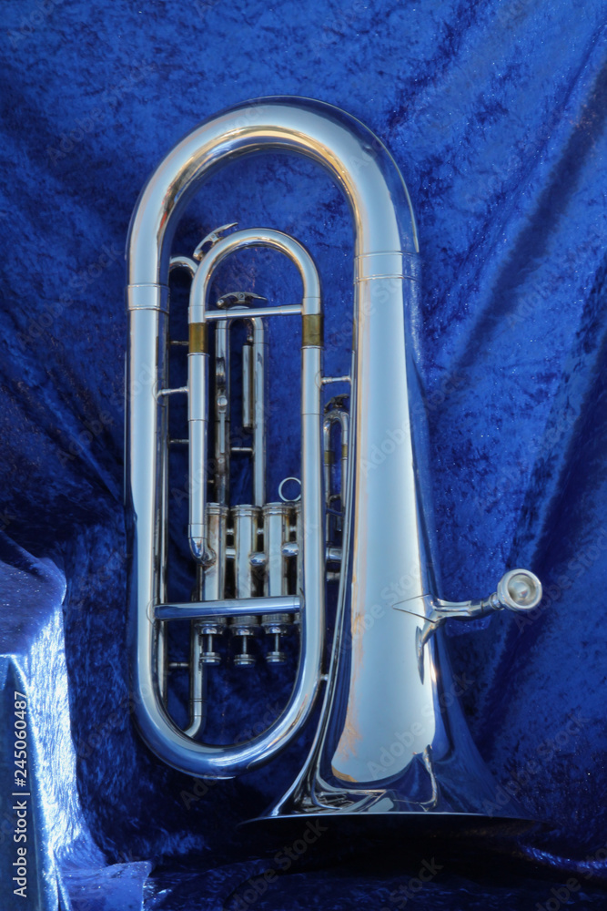 Fototapeta premium Baritone on Blue