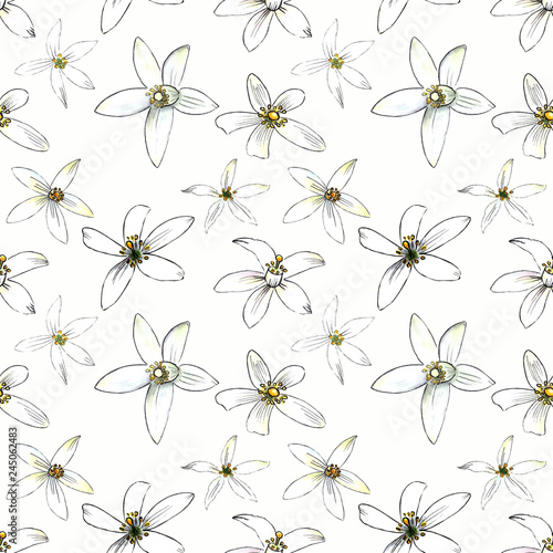 Seamless pattern with flowers on white background. Illustration drawn by markers