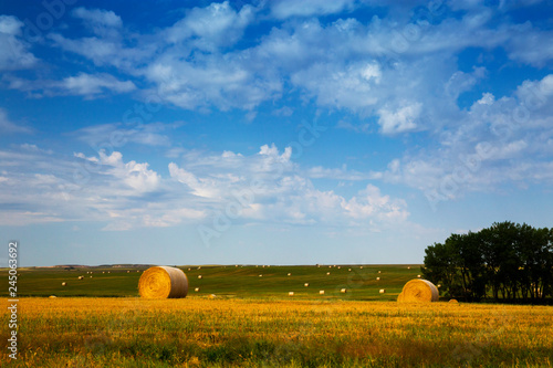 Buffalo Gap National Grasslands, South Dakota. Bales of Hay in the Fields