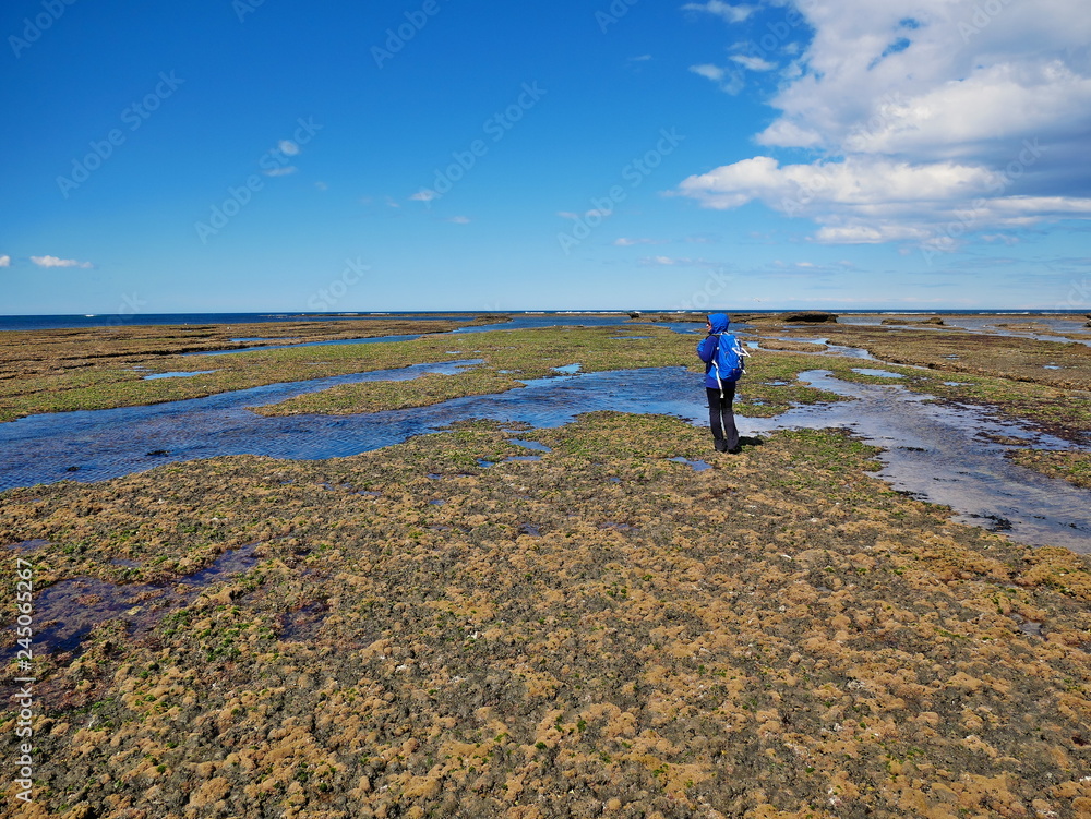 Young woman walking on the rocky coast of Patagonia