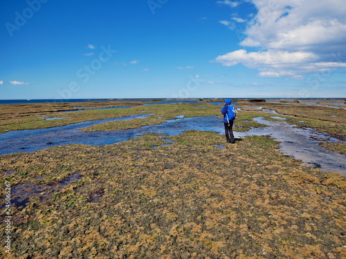 Obraz na płótnie Young woman walking on the rocky coast of Patagonia w salonie