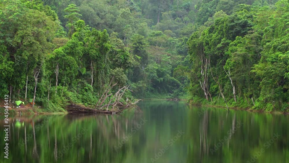 Tropical Rainforest with reflex in the water Beautiful scenery nature view Tropical Rainforest with reflex in the water Beautiful scenery nature view