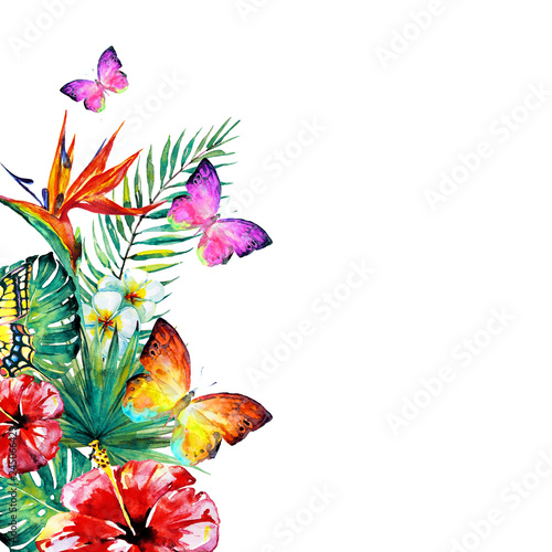 beautiful red flowers ,palm leaves, watercolor on a white © aboard