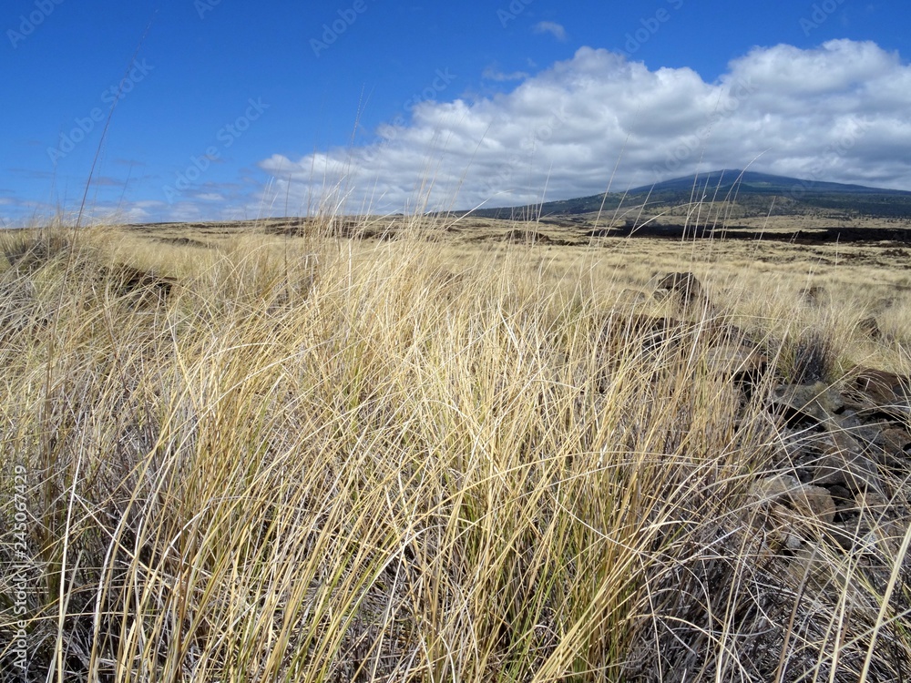 Fototapeta premium View on Mt. Hualalai in Big Island, Hawaii