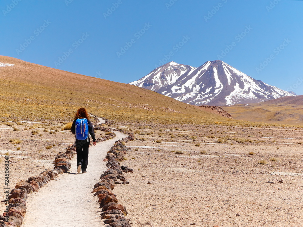 Lagunas altiplanica in the desert of Atacama, Chile.