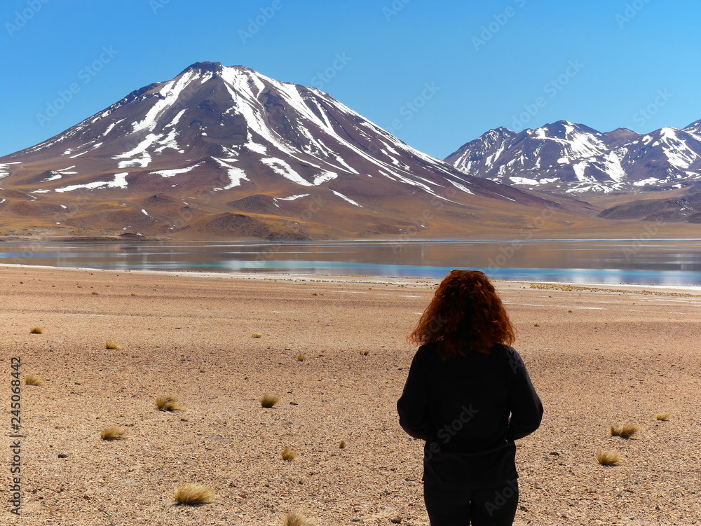 Lagunas altiplanica in the desert of Atacama, Chile.