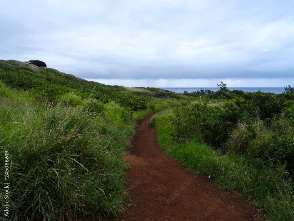 View of the nature in Maui's Northwestern coastline