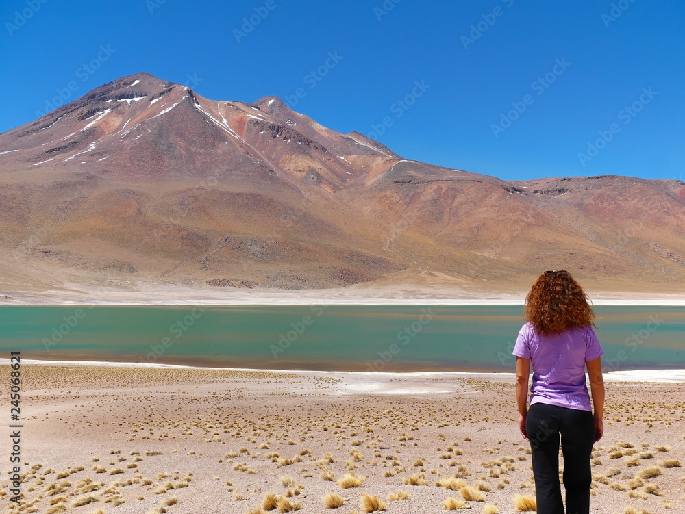 Lagunas altiplanica in the desert of Atacama, Chile.