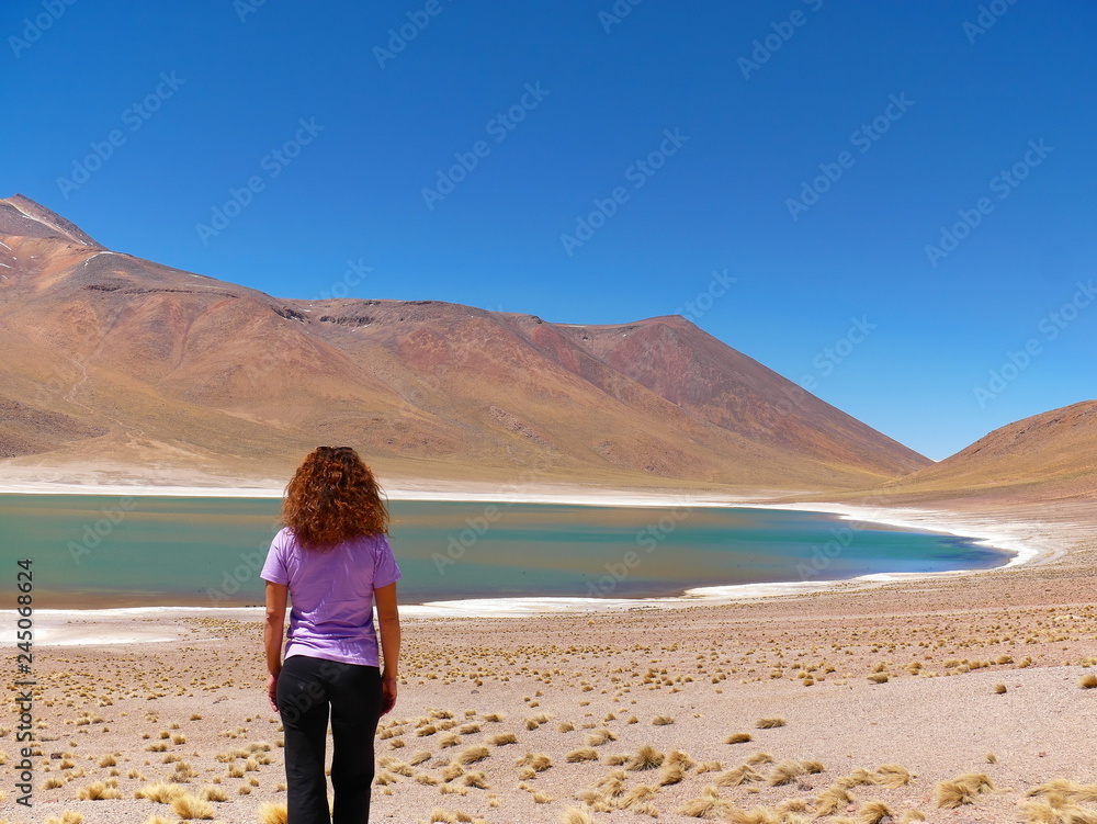 Lagunas altiplanica in the desert of Atacama, Chile.
