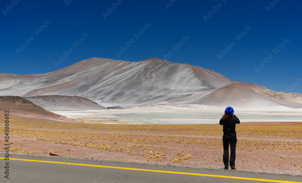 Lagunas altiplanica in the desert of Atacama, Chile.