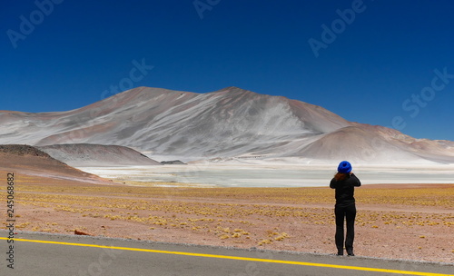Obraz na płótnie Lagunas altiplanica in the desert of Atacama, Chile. w salonie
