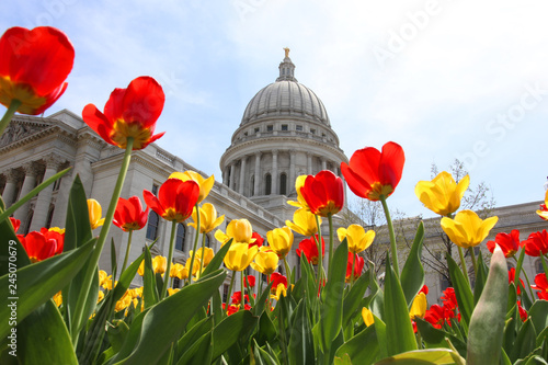 Wisconsin State Capitol building. Wisconsin State Capitol building spring view with flower bed with bright tulips on a foreground. City of Madison, the capital city of Wisconsin, Midwest USA.