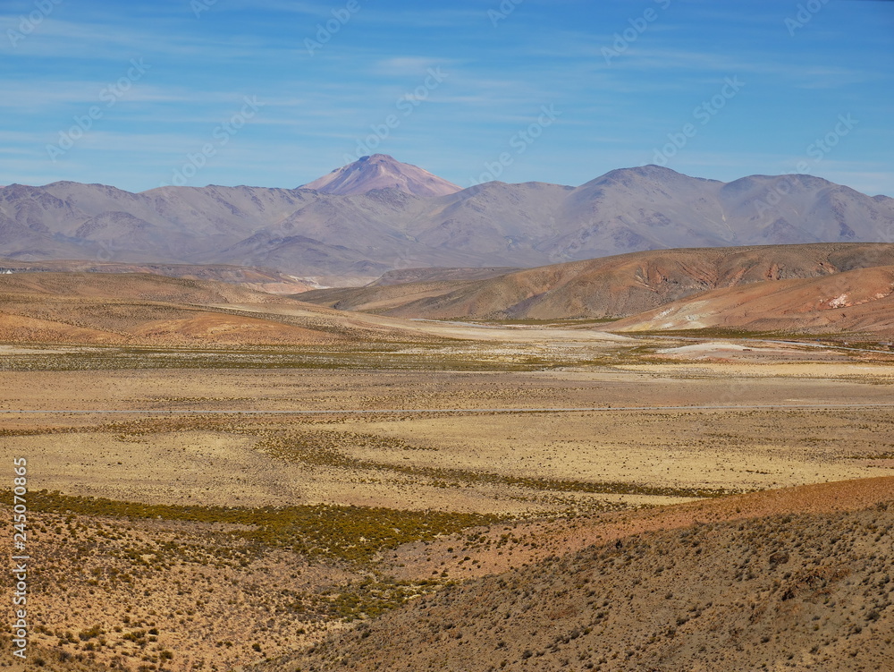 Altiplano andino, Argentina