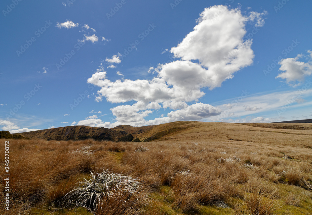 On the route from Balloon Hut to Lake Peel, Kahurangi National Park, New Zealand. On the route from Balloon Hut to Lake Peel, Kahurangi National Park, New Zealand.