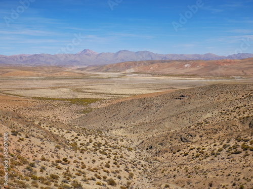 Altiplano andino  Argentina