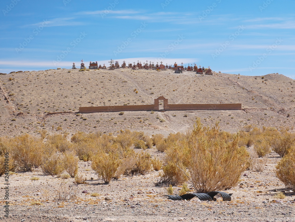 Altiplano andino, Argentina
