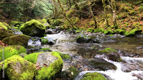 Beautiful Elk River with mossy green rocks in Southern Oregon, United States photo