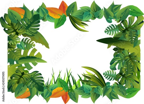 Tropical plants and flowers decorative frame isolated on white vector.