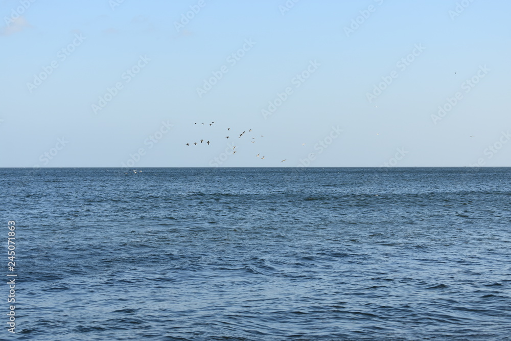 Obraz premium ocean blue sky