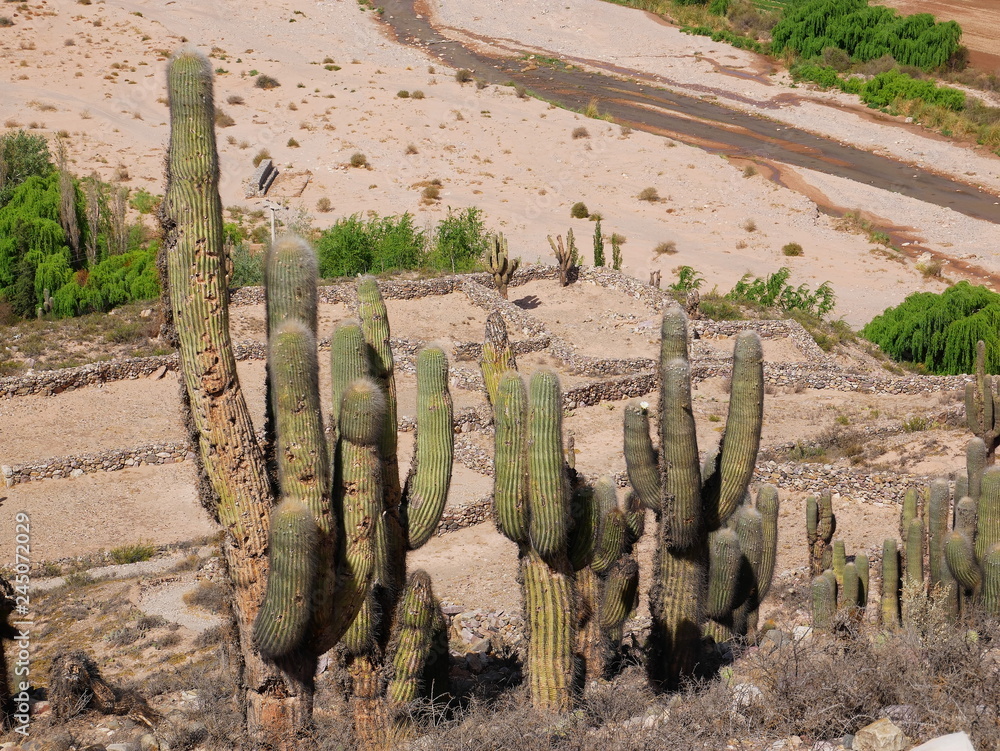 Tilcara in the quebrada de Humahuaca, Argentina
