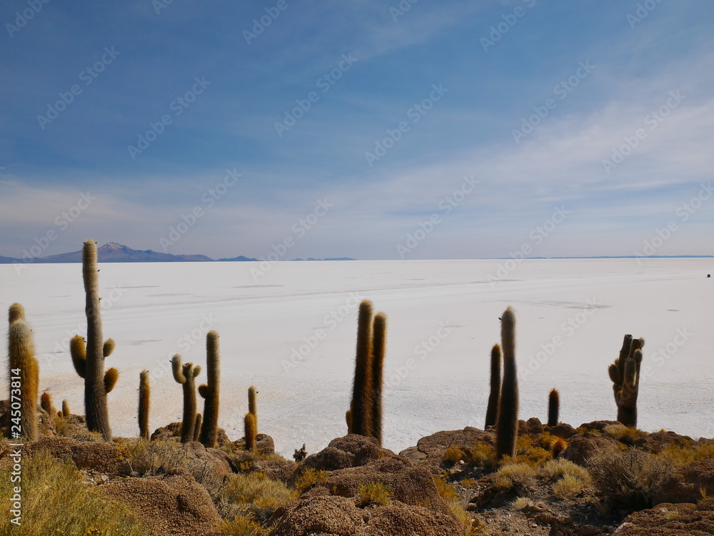 Salar de Uyuni, Bolivia