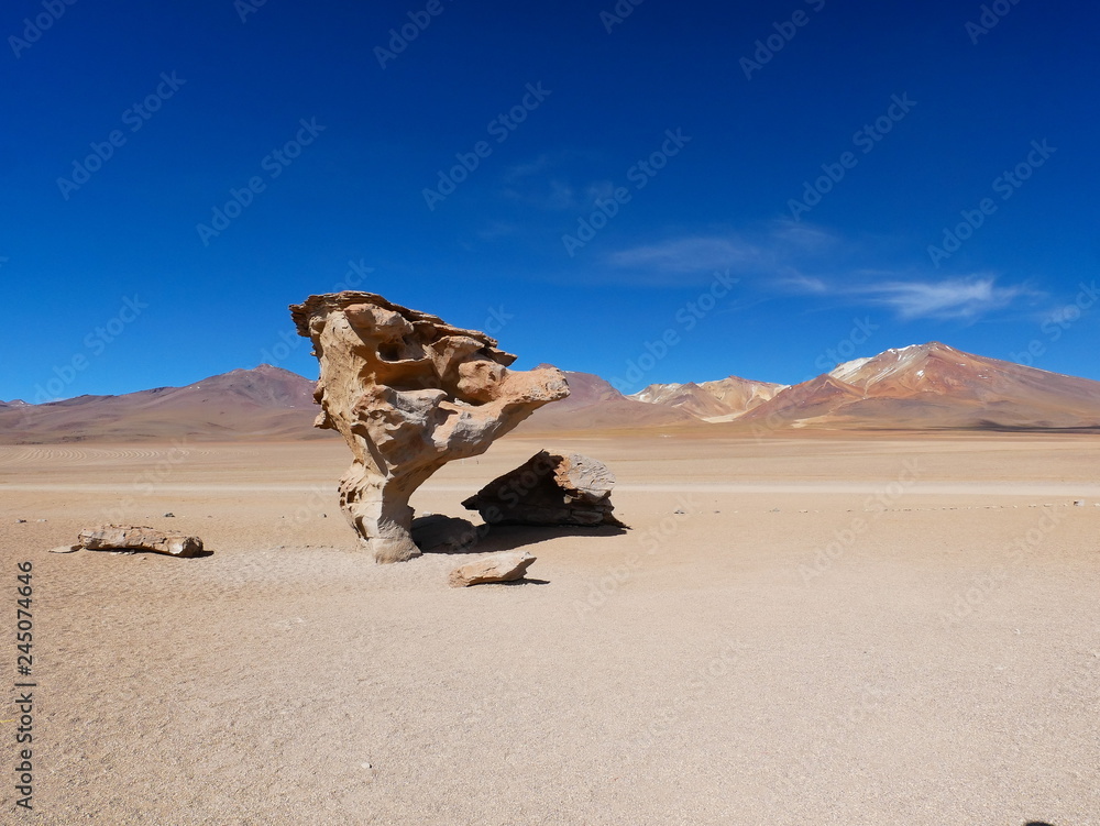 Siloli desert in Bolivia