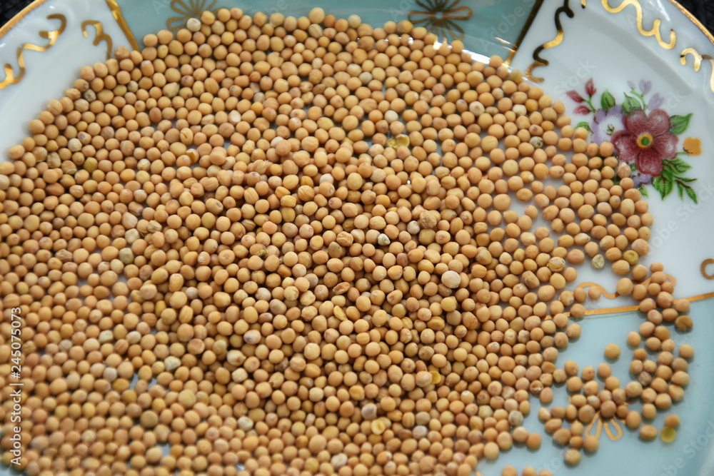 Mustard Seeds isolated(selective focus; close-up shot) mustard seeds in a porcelain plate Mustard Seeds isolated(selective focus; close-up shot) mustard seeds in a porcelain plate