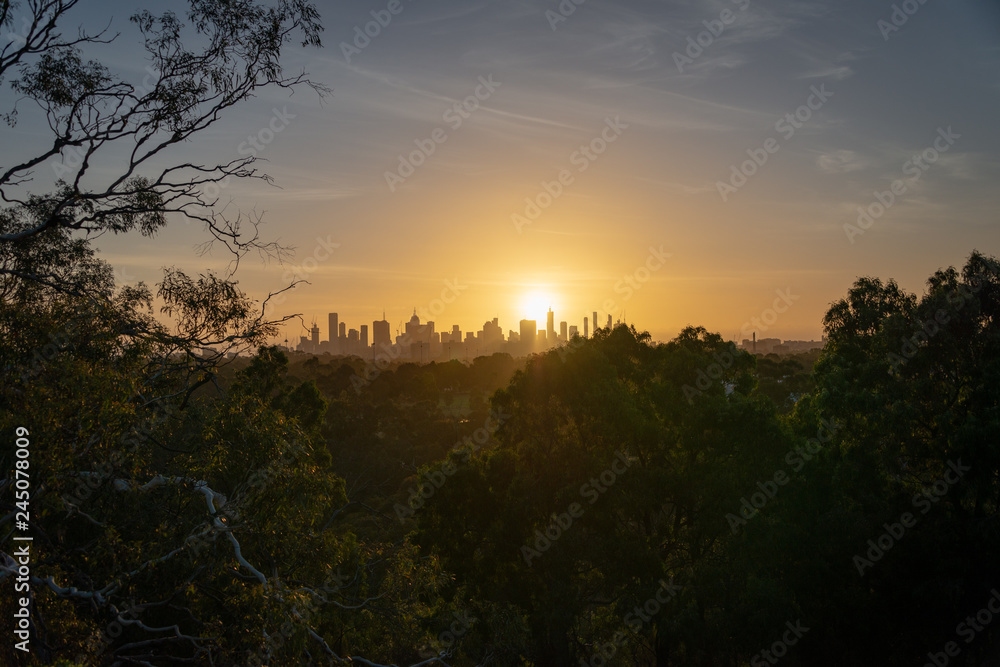 A wide view of the Melbourne city skyline with silhouetted trees in the foreground A wide view of the Melbourne city skyline with silhouetted trees in the foreground