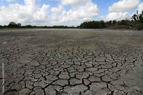Extreme drought conditions at Eco Pond in Everglades National Park, Florida.
