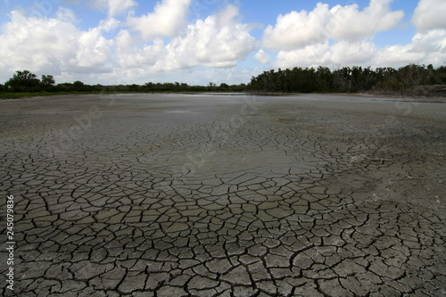 Extreme drought conditions at Eco Pond in Everglades National Park, Florida.