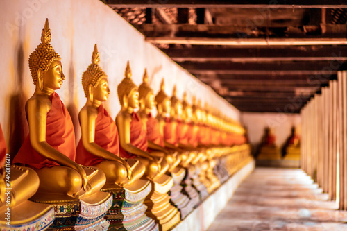 Photography Row of golden meditation buddha sitting figures statues inside corridor  is line