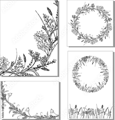 set of vector postcards with wild herbs