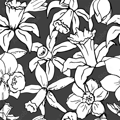 Vector hand-drawn floral pattern with daffodils. Endless texture whit narcissus for your design